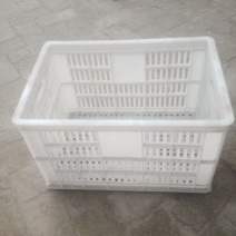 塑料筐外：525*360*300内：490*320*28