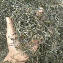 百年大树茶一级