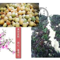 玫瑰酱