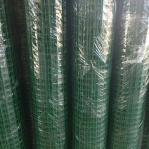 荷兰网50*50mm