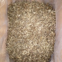 百年大树茶一级