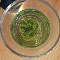 老树茶特级