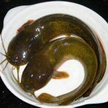 胡子鲶食用