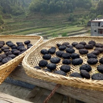 豆豉
