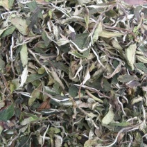 福鼎白茶四级