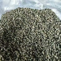 古树普洱茶三级