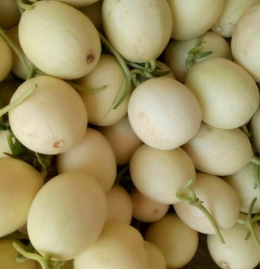 [甜瓜批发]洋香瓜 0.5斤以上价格1.50元/斤 - 一亩田