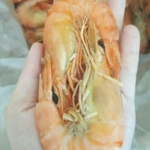 干虾