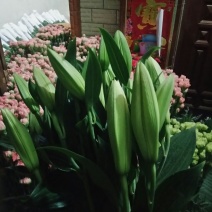 百合鲜切花3~4