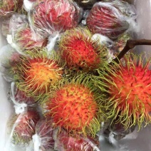 毛丹