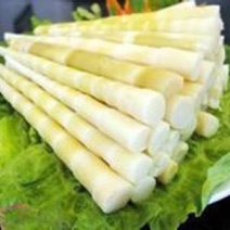 毛竹春笋