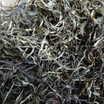 普洱茶一级