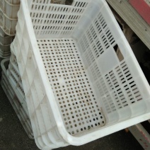 塑料筐外：525*360*300内：490*320*28