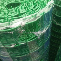 荷兰网50*50mm