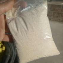 麦麸一级