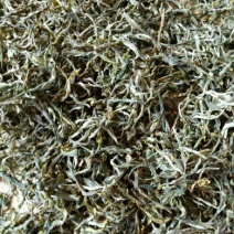 老树茶一级