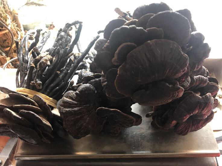 竹灵芝市场价格对比表格,涵盖不同产地与加工方式的价格区间 竹灵芝市场价格表