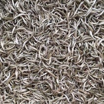 普洱茶