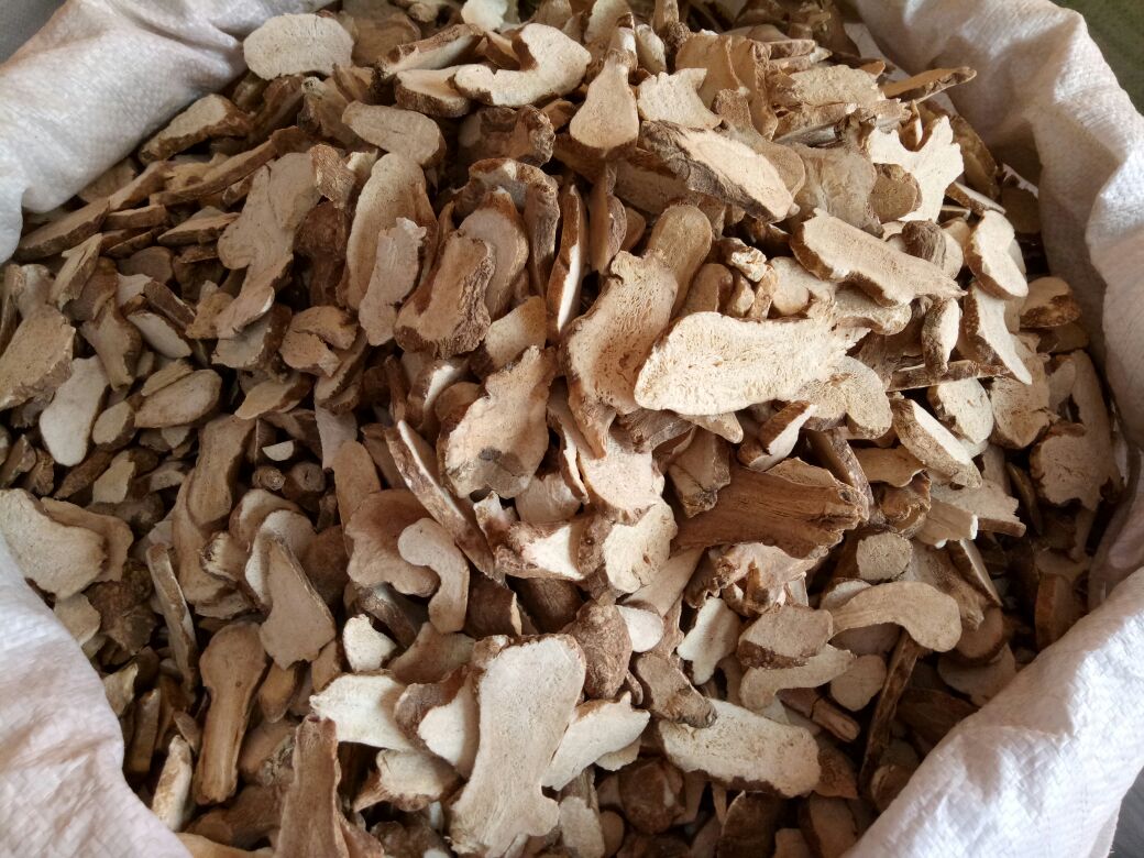 参苓白术丸成品图