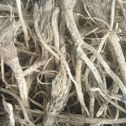 大庆防风价格行情走势 - 一亩田