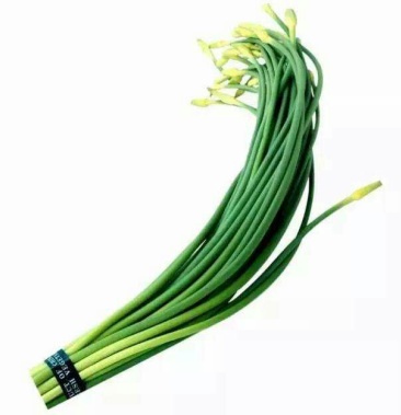 杂交蒜薹 精品 60~70厘米