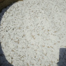 藕粉
