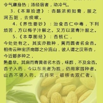 甜杏仁一级