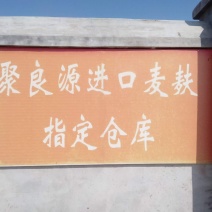 麦麸一级