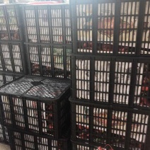 塑料筐外：635*440*340内：600*410*33