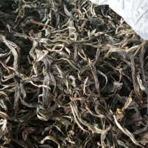 百年大树茶特级