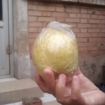 鸭梨300~350g纸加膜