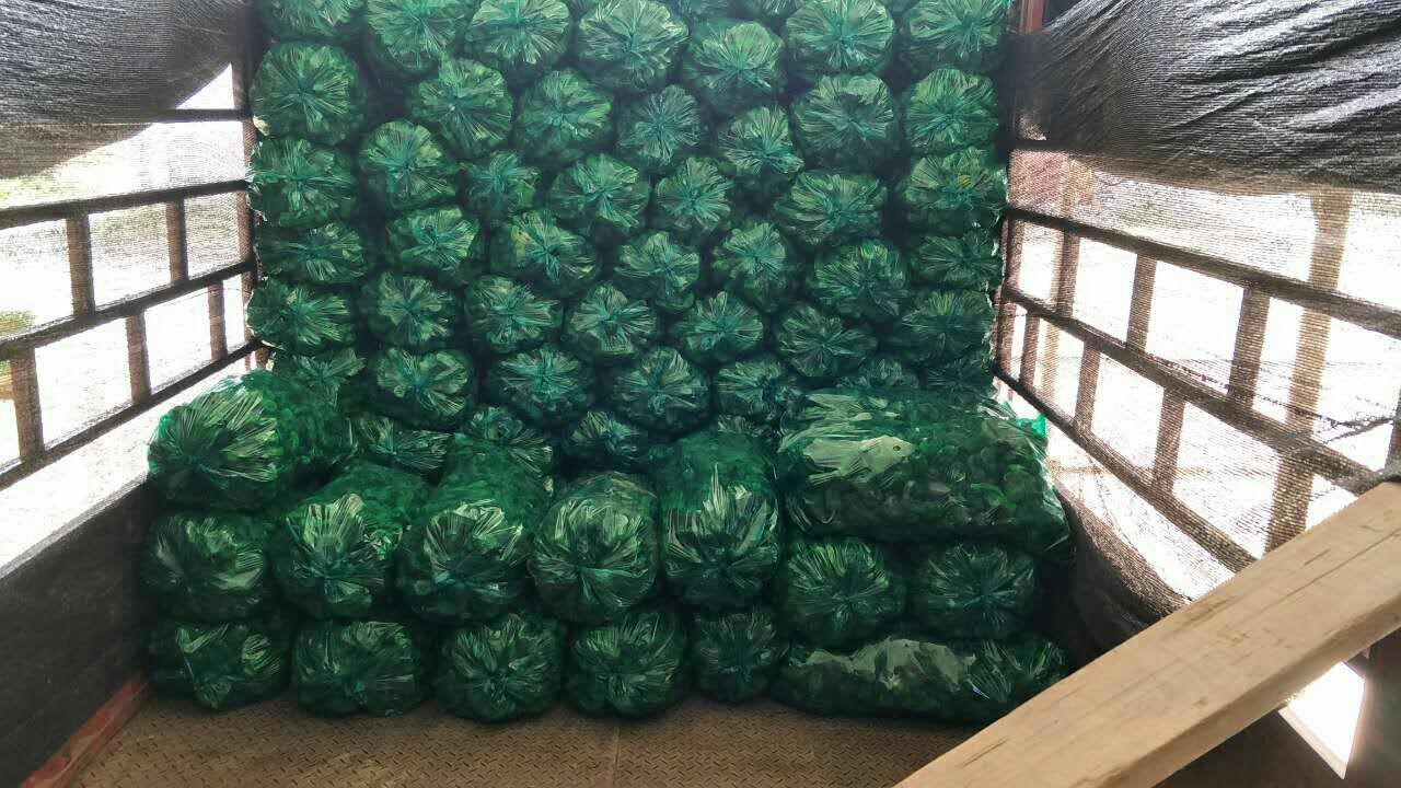 一辆装载鲜辣椒的冷藏运输车在高速公路上行驶,车身上贴有“生鲜运输”字样,背景为绿色丘陵地带 鲜辣椒运输车在公路上行驶