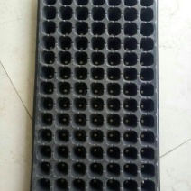 穴盘128孔