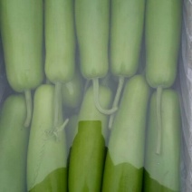 瓠瓜20~30cm5~6cm