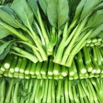 苔菜