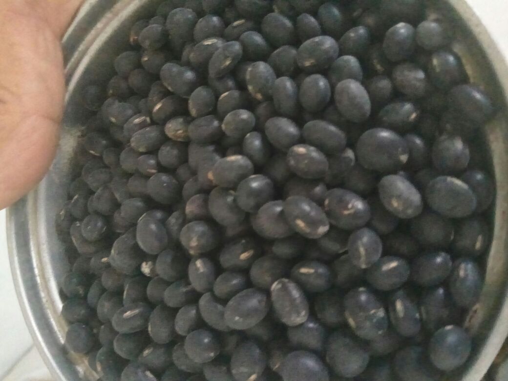 黑豆饭成品图