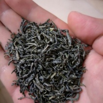 五峰绿茶特级
