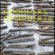 桂皮散装统货
