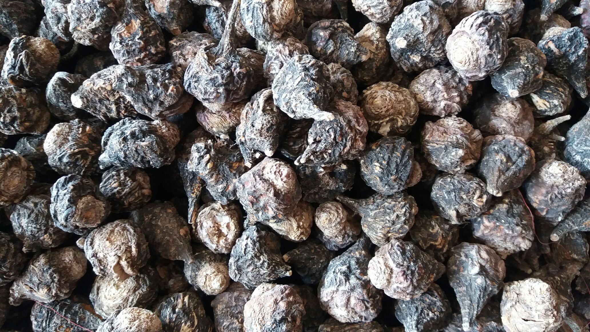 黑玛卡原产地安第斯山区的块茎特写,展现其深色外皮与坚实质地 黑玛卡块茎特写