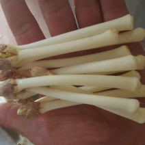 花生芽包装