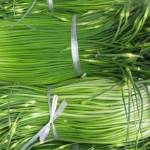 苔菜