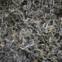 普洱茶特级