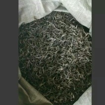 普洱茶勐海县