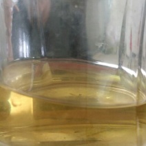 百年大树茶一级