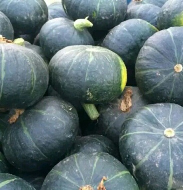 南瓜(谢花面)2-3斤以上 扁圆形 随时装车