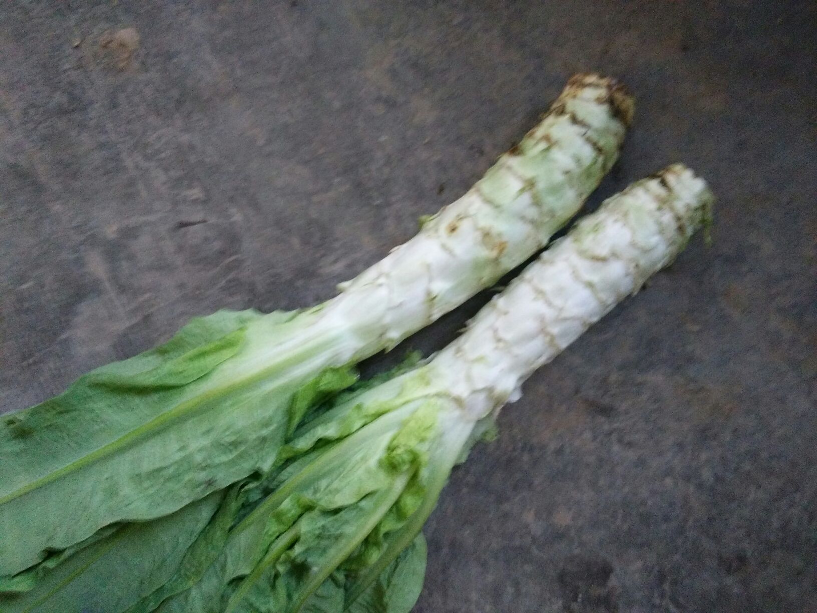 两组并列摆放的新鲜蔬菜对比图:左侧为完整的绿叶莴苣,叶片宽大舒展,呈莲座状;右侧为去皮后的莴笋,茎部粗壮笔直,表皮浅绿带白,顶端带有少量绿色叶片 外观对比图