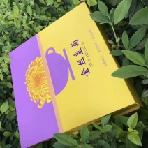 菊花茶特级