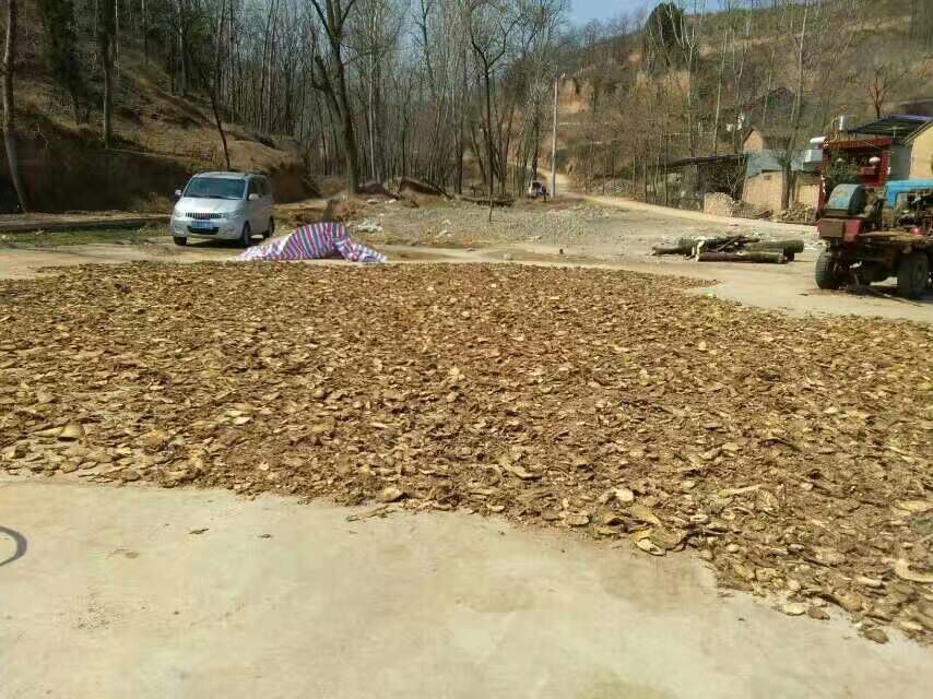 粉葛采收过程示意图