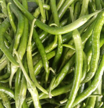 青线椒 10~20厘米 中辣 青色泽鲜艳饱满