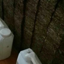 老树茶一级